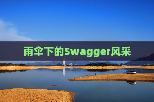 雨伞下的Swagger风采